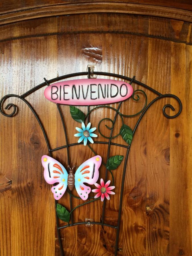 Casa Roble Anejo Bed & Breakfast Санта Крус Екстериор снимка