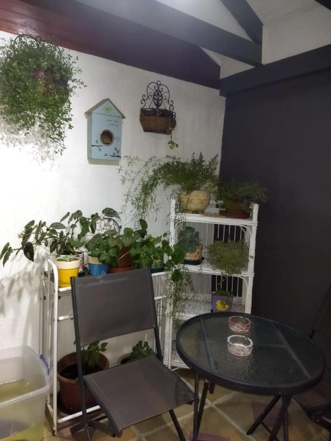 Casa Roble Anejo Bed & Breakfast Санта Крус Екстериор снимка