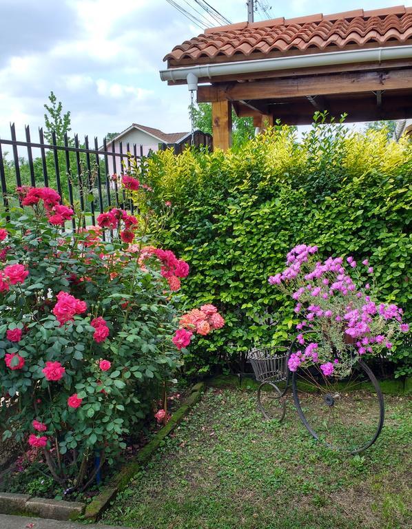 Casa Roble Anejo Bed & Breakfast Санта Крус Екстериор снимка